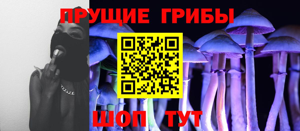 Галлюциногенные грибы прущие грибы Среднеуральск
